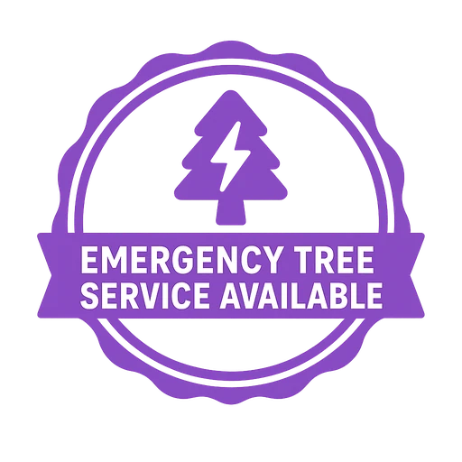 Emergency Tree Service Available
